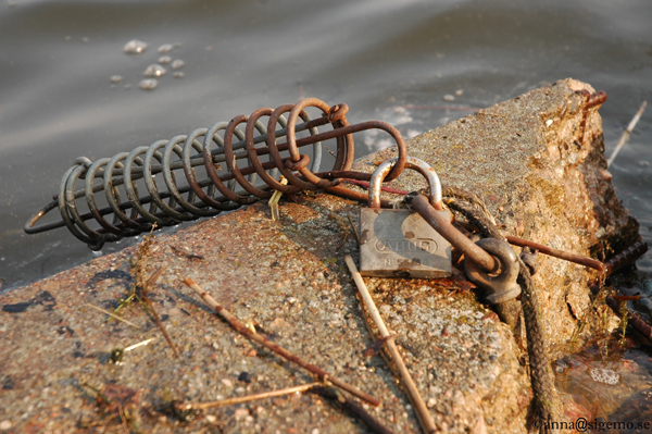 Unchain the nature